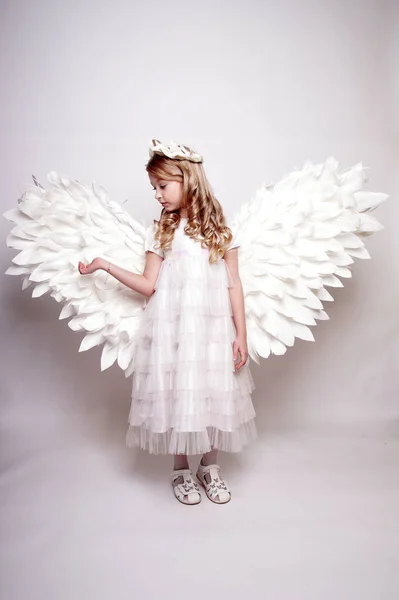 有天使翅膀的年轻漂亮的女士 独立的工作室拍摄 — 图库照片