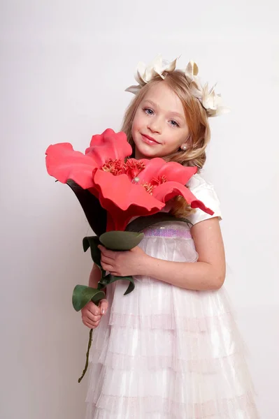 Menina Bonita Com Asas Anjo Estúdio Isolado Tiro — Fotografia de Stock