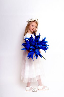 Mavi çiçekli güzel bir kız çocuğu. Stüdyoda izole edilmiş.