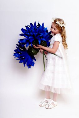 Mavi çiçekli güzel bir kız çocuğu. Stüdyoda izole edilmiş.