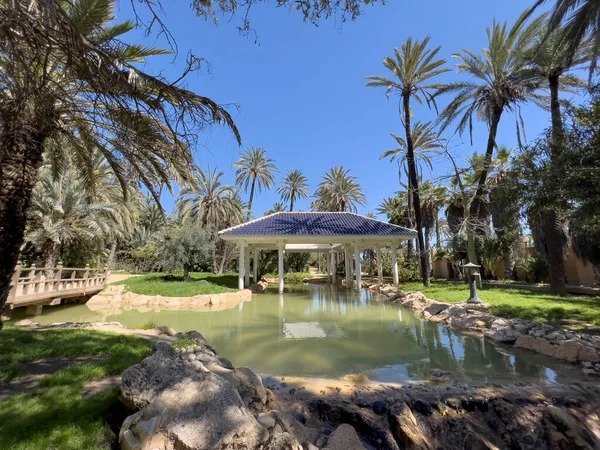 İspanya Alicante 'deki El Palmeral Park' ın panoramik manzarası