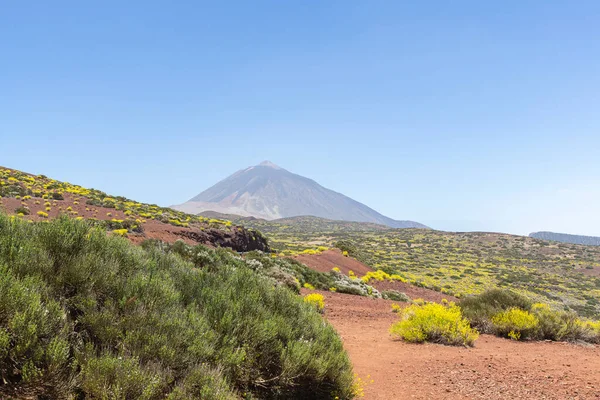 Paisagem Parque Nacional Tedie Ilha Tenerife — Fotografia de Stock