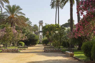 Sevilla şehrindeki Murillo bahçelerinde geziniyorum. İspanya