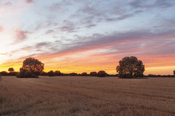 Castilla La Mancha Topluluğu, Ciudad Real, İspanya 'da günbatımının manzarası