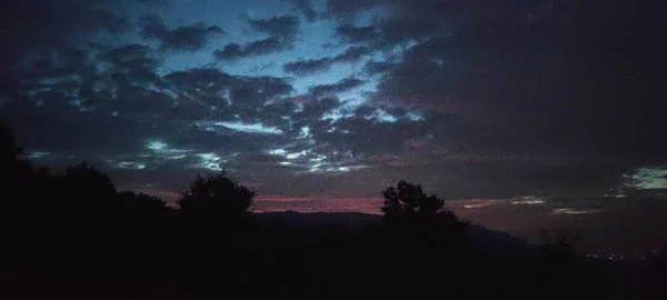 Vue Angle Bas Des Arbres Silhouette Contre Ciel Nuit — Photo