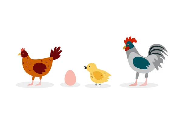 Pollo Gallina Gallo Graciosos Concepto Aves Agrícolas Ilustración Plana Del — Vector de stock