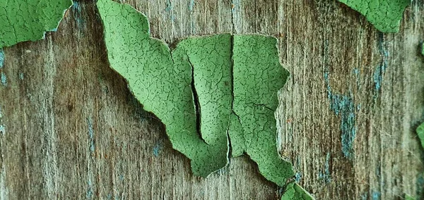 在自然的影响下 旧的绿色油漆在木板上剥落了 拍近身 — 图库照片