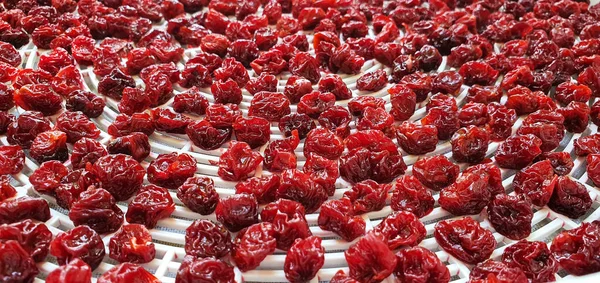 Cherries Dried Sun Summer Close Red Delicious Pitted Cherries — Fotografia de Stock