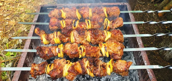 Pieces Pork Onions Skewers Grilled Traditional Kebabs Cooked Holidays Ukraine — Fotografia de Stock