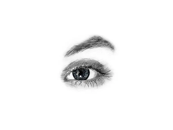 Beautiful sexy drawn female eye close-up isolated on white background. Black-and-white illustration of the eye, blue and green highlighted the details of the eyeball. Blue and green eyes