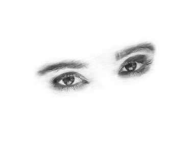 Beautiful sexy female eyes closeup isolated on white background. black and white illustration of eyes