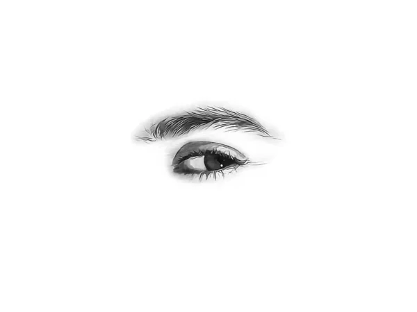 Drawn Sexy Female Eye White Background Рисунок Женских Глаз — стоковое фото