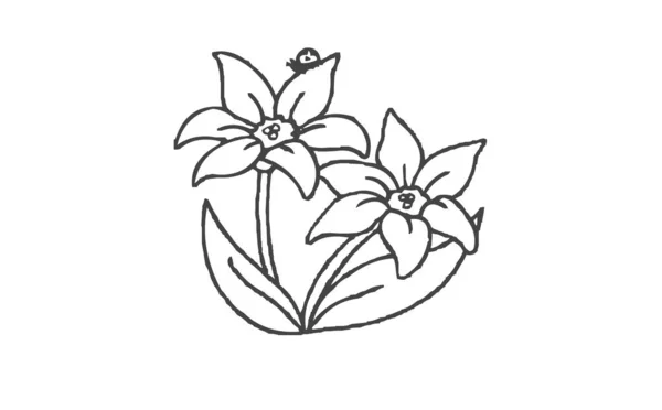 Flower Icons Set White Background Black Line Vector Style Logotype — 图库照片