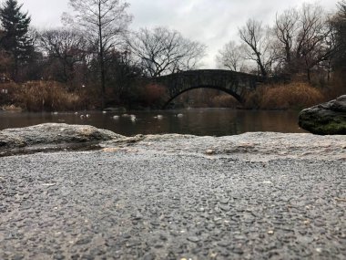 New York Köprüsü, Central Park, Manhattan 