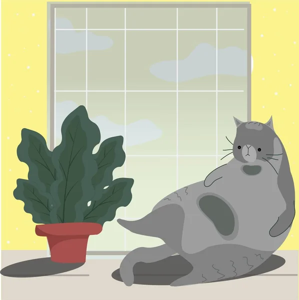 猫は窓辺に横になっている 隣窓の木枠 — ストックベクタ