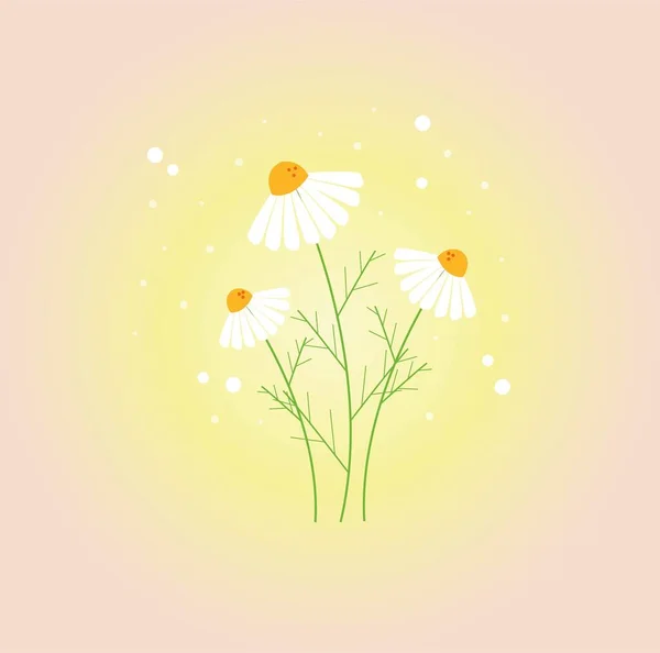 Seamless Daisies Vector Pattern Delicate Design Summer Fashionable Pattern Clothes — 스톡 벡터