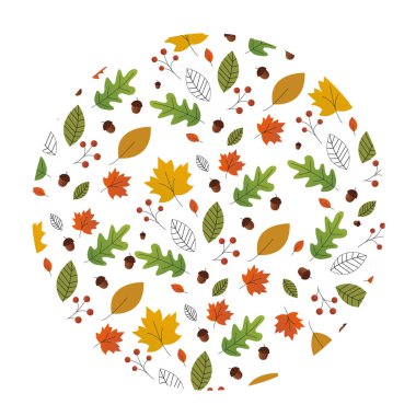 warm and colorful autumn illustrations. leaves and berries, acorns and thin branches. White blank on autumn background with maple leaves.