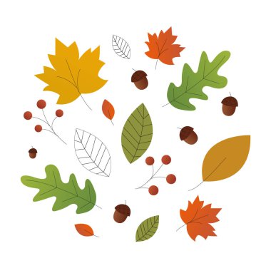 warm and colorful autumn illustrations. leaves and berries, acorns and thin branches. White blank on autumn background with maple leaves.