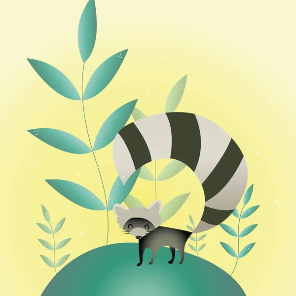 Cute Fat Cartoon Gray Raccoon Sits Looks Straight Small Black — Stockvector