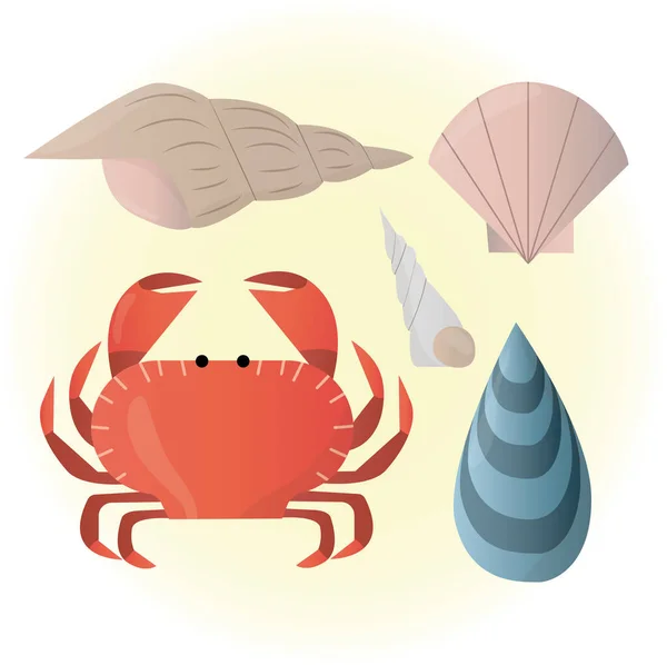 Crab cartoon character.marine collection in the form of a crab and several shells