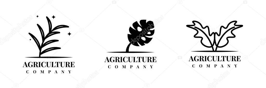Agriculture leaf logo template design