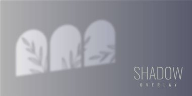 Shadow overlay background illustration template design. Vector eps 10