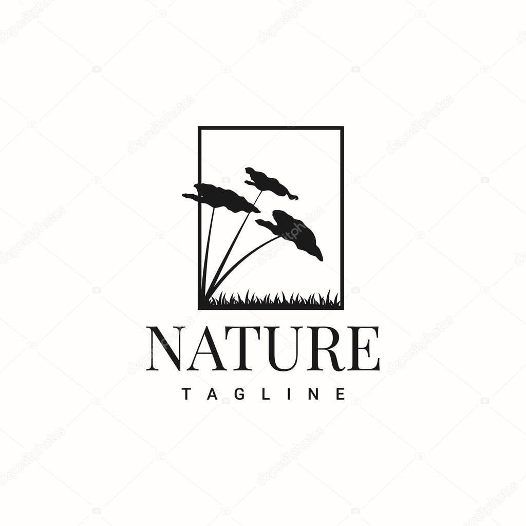 Nature plant logo template design