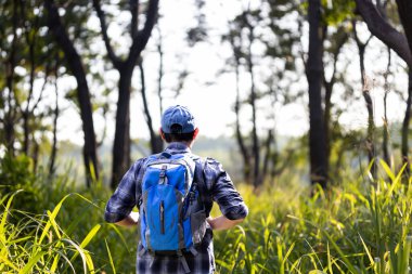 Sırt çantalı bir adam orman macerasında yürüyor.