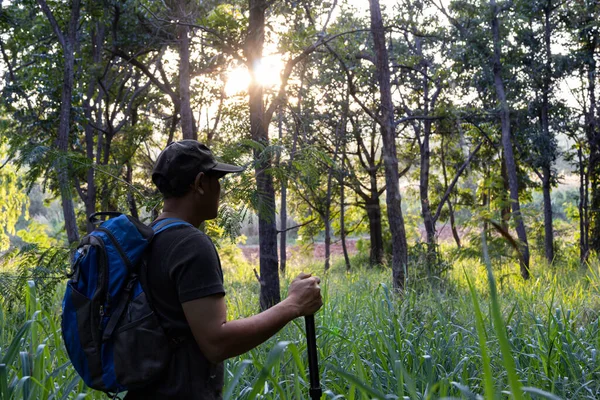Человек Рюкзаком Прогулки Лесу Приключения Путешествия — стоковое фото