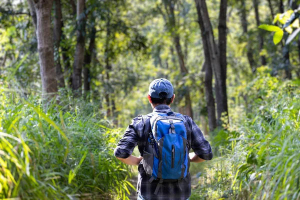 Hombre Con Mochila Caminando Bosque Aventura Viaje Espalda Vista — Foto de Stock