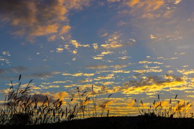 Parlak renkli gökyüzü bulutları, ve bulutlara çarpan güzel bir güneş ışığı var, arka plan olarak kullanılmak için mükemmel.