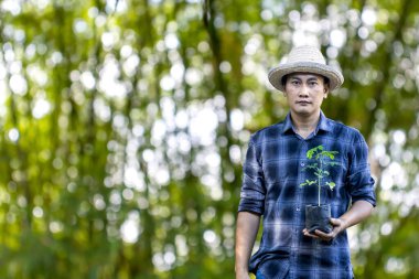 Asian man holding plant saplings to prepare for planting