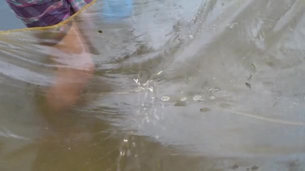 Fishing Canals Net — Stock video