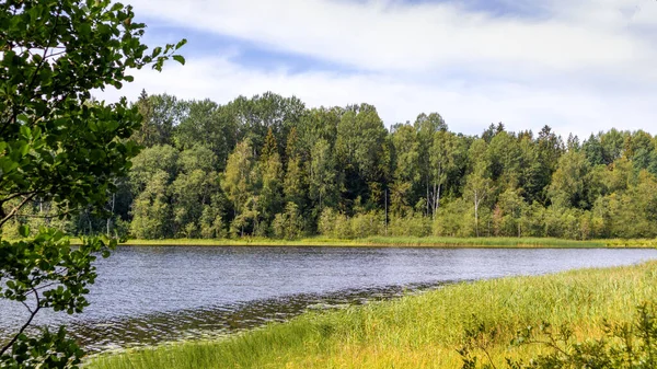 Bel Cielo Azzurro Con Nuvole Bianche Lago Tra Due Foreste — Foto Stock