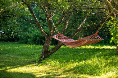 Gökkuşağı renkli hamak güneşli, yeşil bir parkta