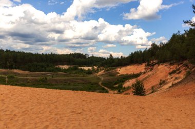 Yeşil çamlı sarı kum tepeciği ve köknar ağaçları ve bulutlu mavi gökyüzü