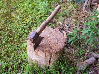 An axe stuck in a old wooden beam in the dark green grass
