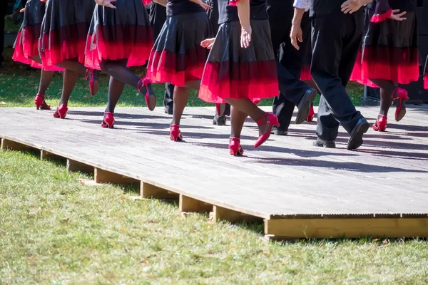 Equipo Baile Baila Escenario Marrón Claro Con Zapatos Rosas Faldas —  Fotos de Stock