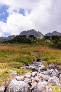 Polonya Tatarları 'nda kayalık yürüyüş yolu ve sarımsı yeşil çimlerle kaplı büyük gri-kahverengi dağlarla etkileyici bir manzara. 