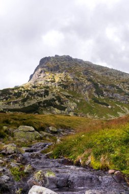Polonya Tatarları 'nda kayalık yürüyüş yolu ve sarımsı yeşil çimlerle kaplı büyük gri-kahverengi dağlarla etkileyici bir manzara. 