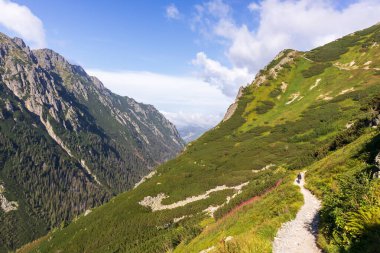 Polonya Tatralarında dağları olan güzel bir manzara yürüyüş yolu ve çok mavi bulutlu bir gökyüzü.