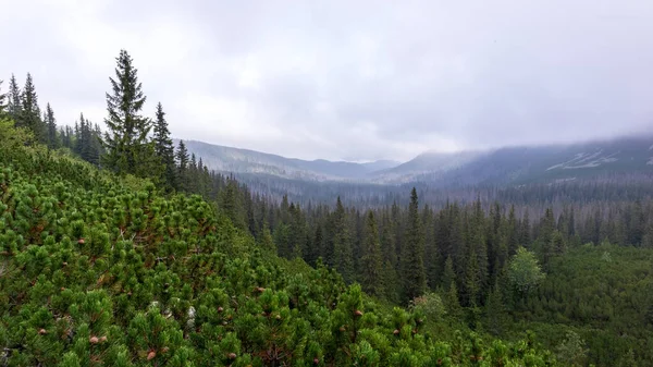 Wspaniały Obraz Urokliwego Krajobrazu Widokiem Zielone Kamienne Góry Polskich Tatrach — Zdjęcie stockowe