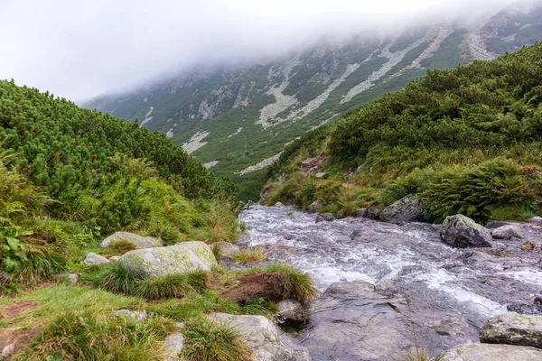 Impressive Landscape Large Grey Brown Mountains Polish Tartars Rocky Hiking — Stock Photo, Image