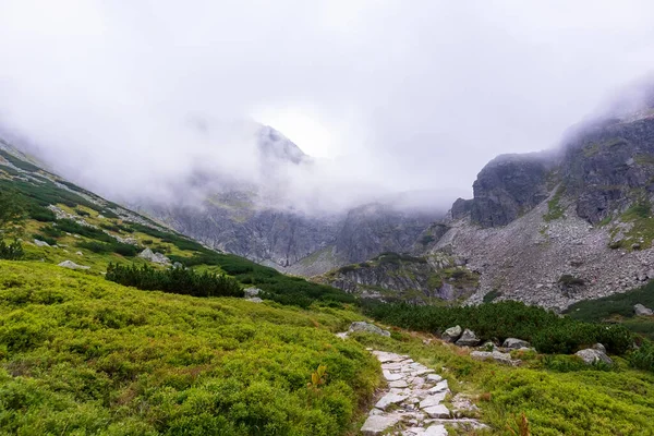 波兰鞑靼人中有着巨大灰褐色山脉的令人印象深刻的风景 山路崎岖 山路崎岖 — 图库照片
