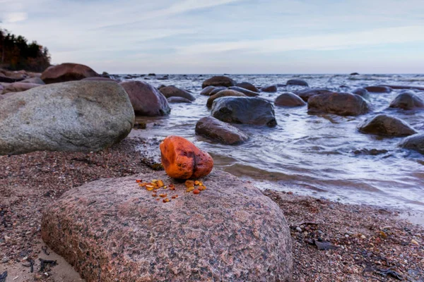 Amber Amarelo Brilhante Enorme Com Areia Mar Báltico Rochas — Fotografia de Stock