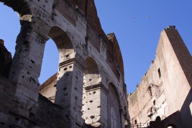 Arka taraftaki ünlü antik Colosseum.