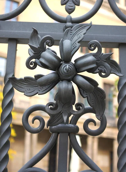 Artful Cast Iron Blossom Gate Fence Residential Palace Dresden Shot — Stock Photo, Image