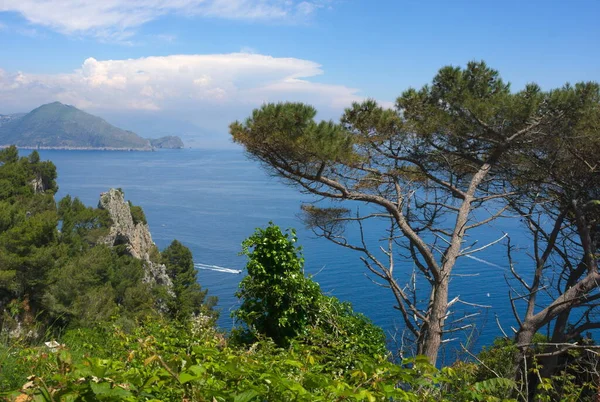 Capri Est Une Île Située Dans Mer Tyrrhénienne Large Péninsule — Photo