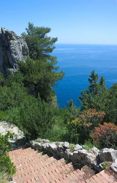 Capri Ist Eine Insel Tyrrhenischen Meer Vor Der Halbinsel Sorrent — Stockfoto