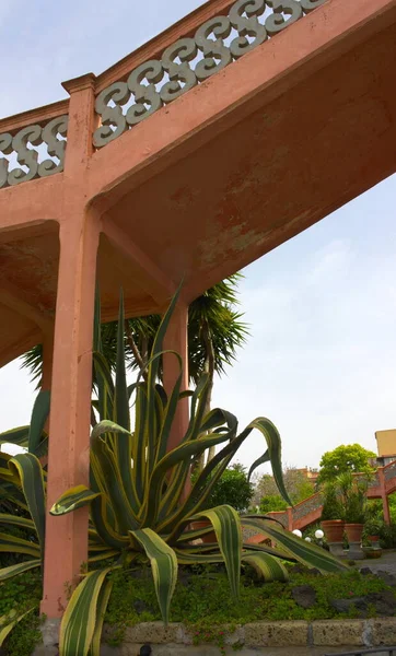 Agave Artful Stairways South Italian Villa Shot Ercolano 2015 Holiday — Stock Photo, Image